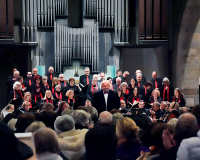 DSC07347 bearbeitet 1-1